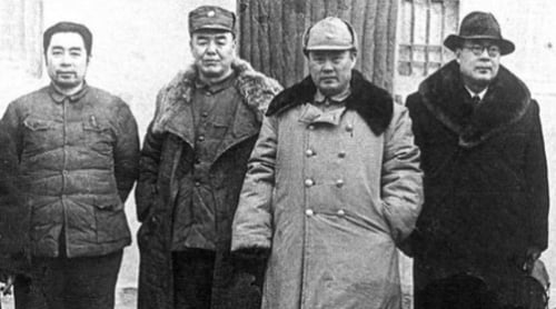 纽约沦陷!中共“杜鹃鸟战术”再现 纽约沦陷!中共“杜鹃鸟战术”再现