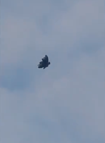 非人类飞行器?内蒙惊现“蝴蝶状”飞行物 非人类飞行器?内蒙惊现“蝴蝶状”飞行物