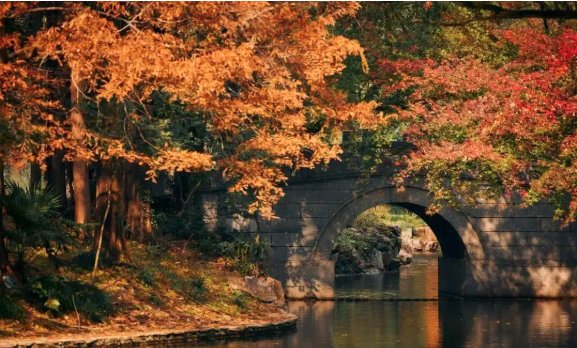 人生不顺,皆因这三个字!读懂受益终身 人生不顺,皆因这三个字!读懂受益终身