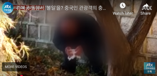 中国游客在著名景点当众脱裤大便?网络又炸了 中国游客在著名景点当众脱裤大便?网络又炸了