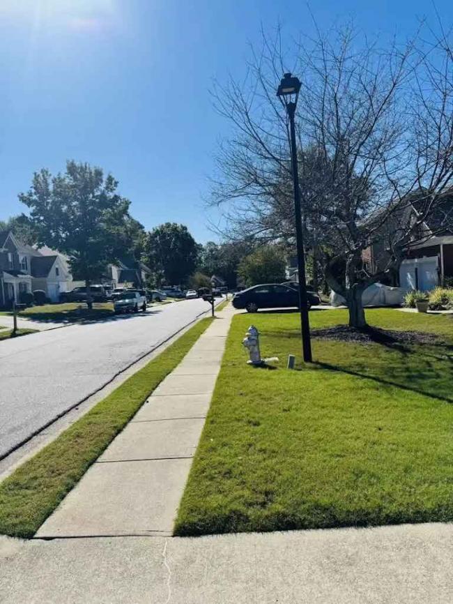 华人一家 就这样在邻居眼中沦为“异类” 华人一家 就这样在邻居眼中沦为“异类”