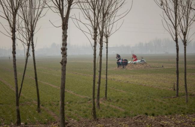周五这场全国性会议,寒意传到每个人了 周五这场全国性会议,寒意传到每个人了
