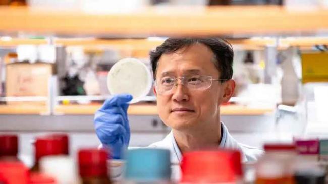 中国没戏唱了?美国打造“智能病毒”提炼稀土 中国没戏唱了?美国打造“智能病毒”提炼稀土