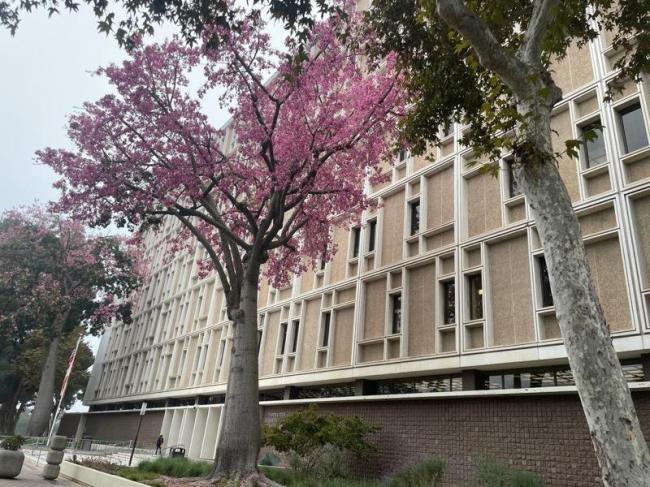 持武士刀杀妻 华女狱中自杀 留下遗书 持武士刀杀妻 华女狱中自杀 留下遗书