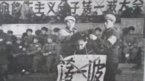 薄一波对赵紫阳说:你剩下一条命 想怎么用? 薄一波对赵紫阳说:你剩下一条命 想怎么用?