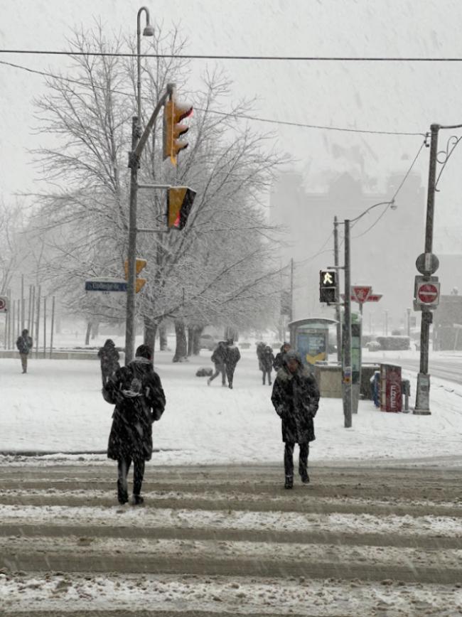 20cm暴雪+极寒! 20cm暴雪+极寒!