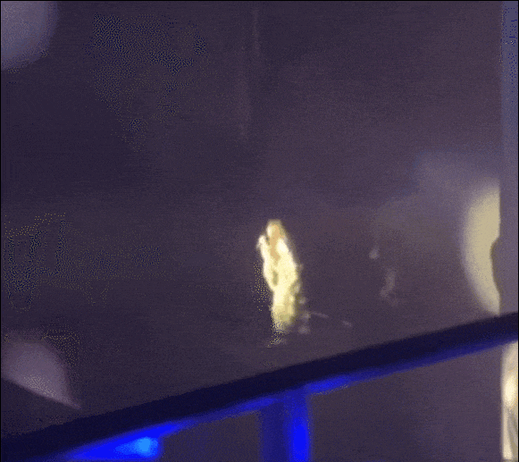 顶流巨星,命悬一线 顶流巨星,命悬一线