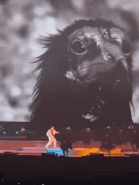 顶流巨星,命悬一线 顶流巨星,命悬一线