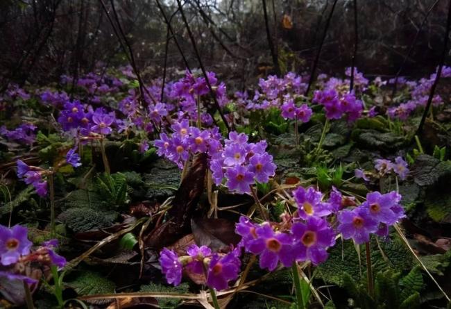 中国最“滋润”的城市,藏在四川 中国最“滋润”的城市,藏在四川