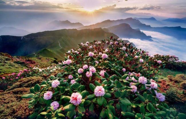 中国最“滋润”的城市,藏在四川 中国最“滋润”的城市,藏在四川