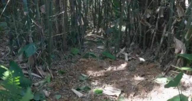 大叔挖蚯蚓 竟掘出30公斤千年前“精美大宝贝” 大叔挖蚯蚓 竟掘出30公斤千年前“精美大宝贝”