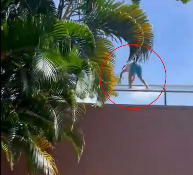 男子跳入狮舍秒遭母狮扑咬惨死 血腥过程被录下 男子跳入狮舍秒遭母狮扑咬惨死 血腥过程被录下