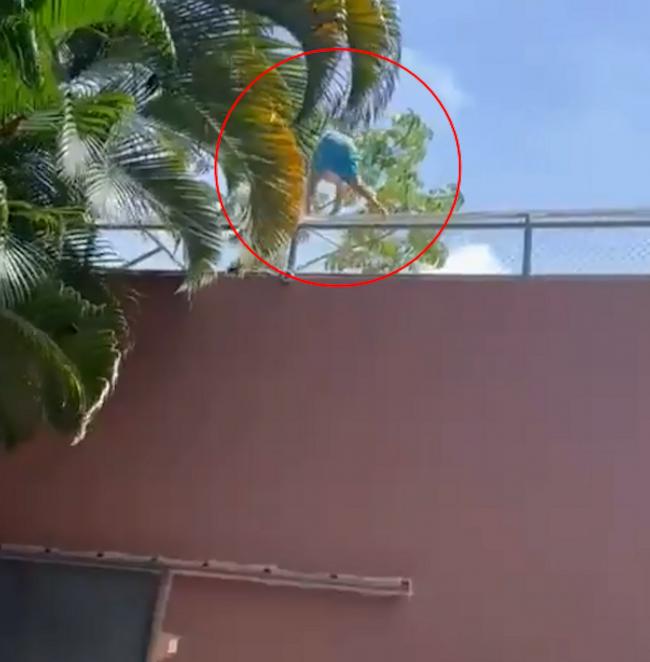 男子跳入狮舍秒遭母狮扑咬惨死 血腥过程被录下 男子跳入狮舍秒遭母狮扑咬惨死 血腥过程被录下