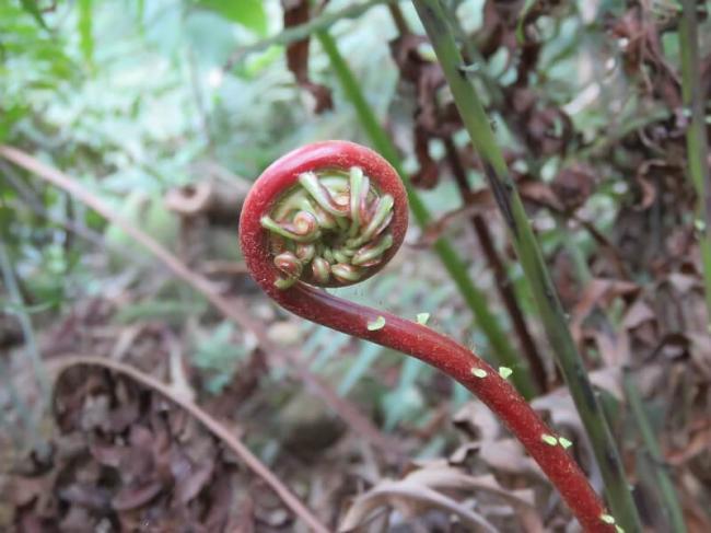 美中同时间亮出各自最新绝活!震撼全球 美中同时间亮出各自最新绝活!震撼全球