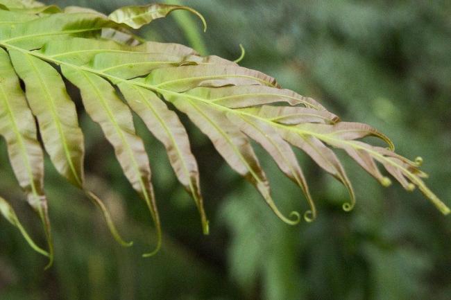美中同时间亮出各自最新绝活!震撼全球 美中同时间亮出各自最新绝活!震撼全球