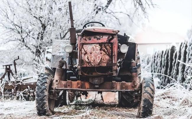 苏联养15年,中国养20多年,他为何仍穷困至今 苏联养15年,中国养20多年,他为何仍穷困至今