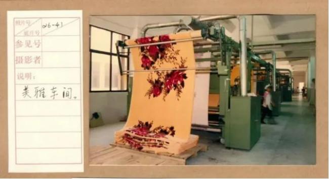 全体广东人的噩梦 被网暴了 20 年 全体广东人的噩梦 被网暴了 20 年