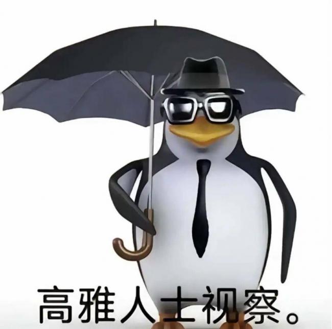 高雅企鹅 如何成为 2025 年度网红 高雅企鹅 如何成为 2025 年度网红