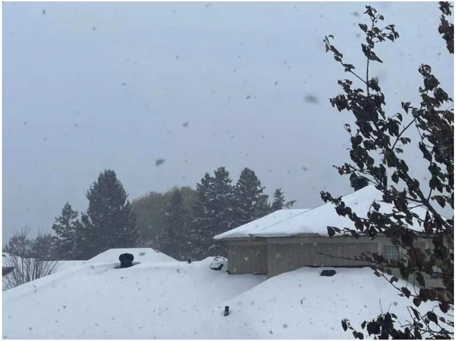 中年移民的隐痛——写在自己40岁 中年移民的隐痛——写在自己40岁