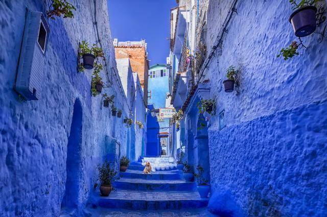 免签刚落地被宰700块!圣彼得堡的坑,别再填了 免签刚落地被宰700块!圣彼得堡的坑,别再填了