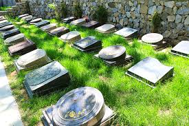 中国将迎前所未有的死亡高峰 中国将迎前所未有的死亡高峰