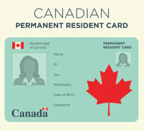 中国高调清查双国籍!央视报道加国华人遭遇 中国高调清查双国籍!央视报道加国华人遭遇