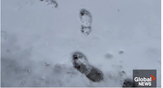 加拿大迎来最低-55℃极寒 降雪量最高达40厘米 加拿大迎来最低-55℃极寒 降雪量最高达40厘米