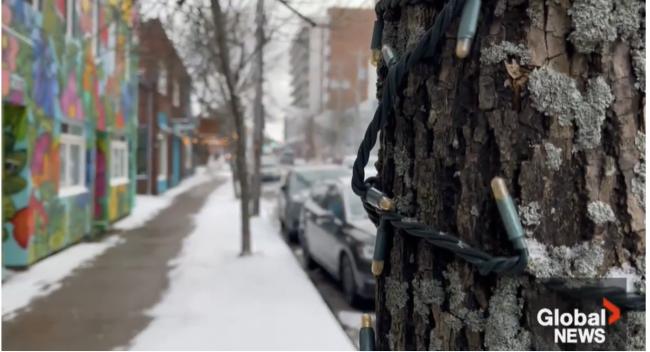 加拿大迎来最低-55℃极寒 降雪量最高达40厘米 加拿大迎来最低-55℃极寒 降雪量最高达40厘米