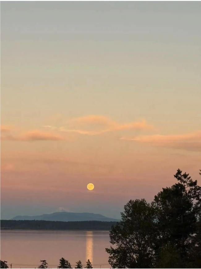 移民,让我过上了更喜欢的生活 移民,让我过上了更喜欢的生活