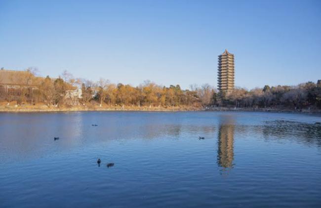 北京选调,北大有点惨 北京选调,北大有点惨