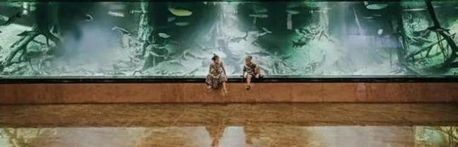 中国三大运营商向美“下跪”,陈志妻子女儿被曝 中国三大运营商向美“下跪”,陈志妻子女儿被曝