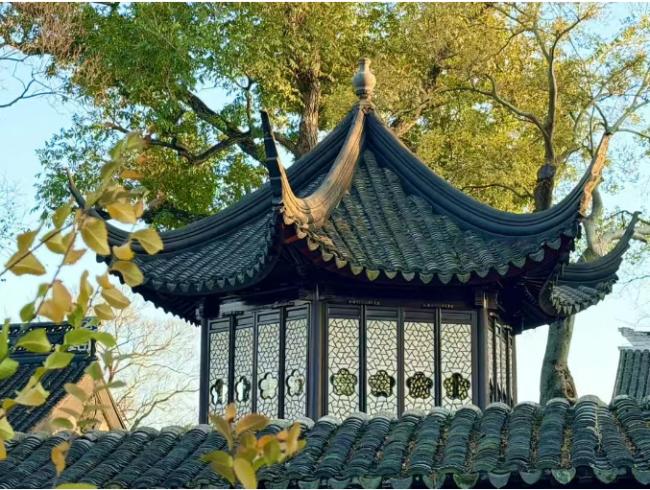 从加拿大回国,这次幸福感爆棚 从加拿大回国,这次幸福感爆棚