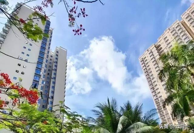 东北人撤离三亚成潮,压垮他们的是生活现实 东北人撤离三亚成潮,压垮他们的是生活现实