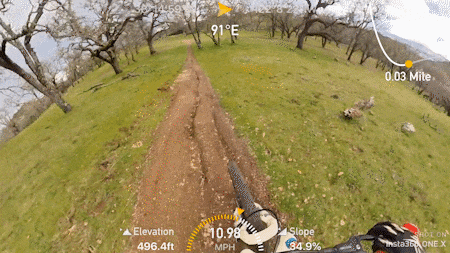 10万悬赏,搜捕大佬们的“心腹大患” 10万悬赏,搜捕大佬们的“心腹大患”