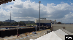 2025年,川普全方位阻击中共国 2025年,川普全方位阻击中共国