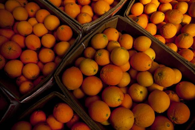 Costco柳橙为何容易发霉?外媒揭背后致命原因 Costco柳橙为何容易发霉?外媒揭背后致命原因