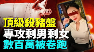 婚恋“杀猪盘”全中国蔓延 完整收割链曝光 婚恋“杀猪盘”全中国蔓延 完整收割链曝光