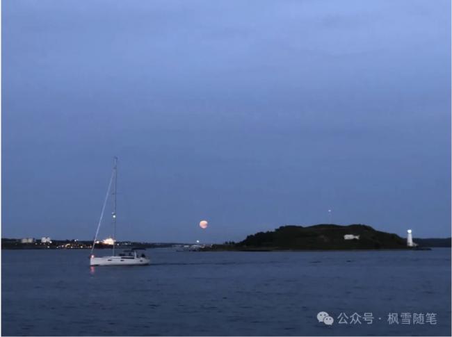 我所经历和目睹的加拿大“斩杀线” 我所经历和目睹的加拿大“斩杀线”