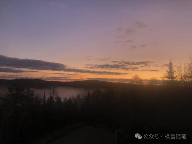 我所经历和目睹的加拿大“斩杀线” 我所经历和目睹的加拿大“斩杀线”