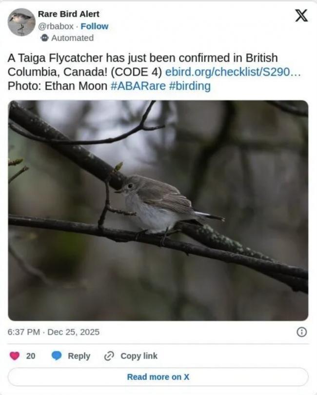 一生难得一见的奇景 民众蜂拥来到温哥华这公园 一生难得一见的奇景 民众蜂拥来到温哥华这公园