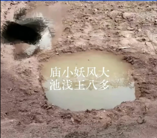 李承鹏:论爱国及《南京博物院之官人我要》 李承鹏:论爱国及《南京博物院之官人我要》