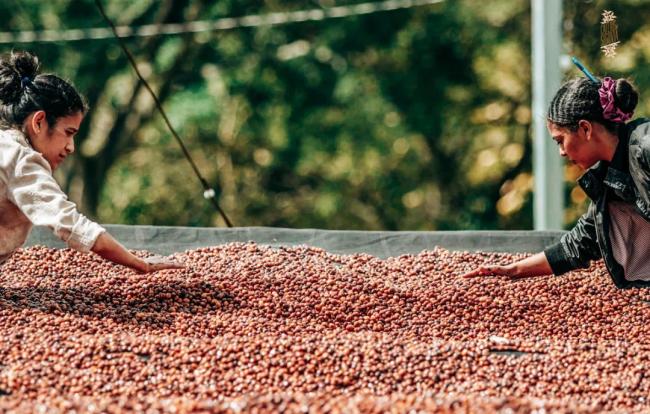 202601_17676519739027.png 640 (9).png