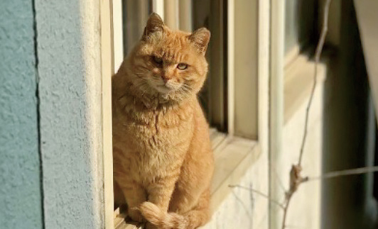 202601_17683386014350.png 640 (1).png