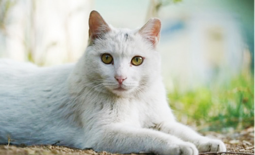 202601_17683386241397.png 640 (2).png