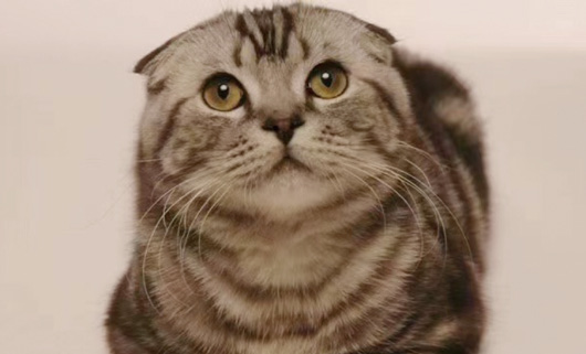 202601_17683386999213.png 640 (4).png