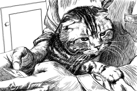 202601_17683387225508.png 640 (5).png