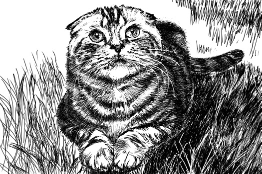 202601_17683387464650.png 640 (6).png