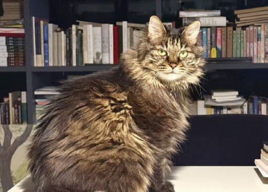 202601_17683388006364.png 640 (8).png