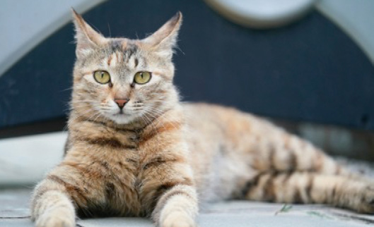 202601_17683388176915.png 640 (9).png