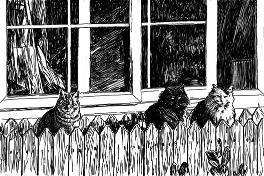 202601_17683388632348.png 640 (11).png